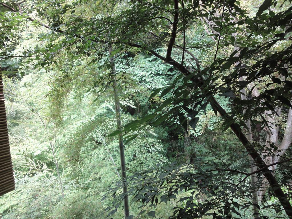 Ryokan Kiritani Hakoneso Kültér fotó